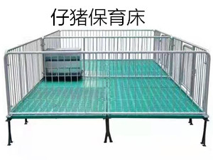 豬場(chǎng)設(shè)備仔豬欄