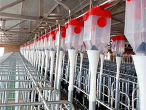 定位欄自動下料線安裝廠家